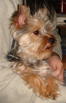 2008.4.18b