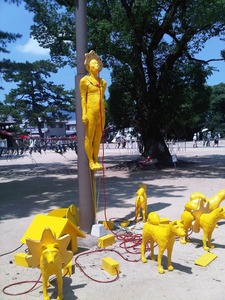 IMG00189-20110813-1117