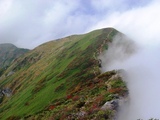 DSC07437