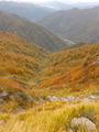 DSCN0242