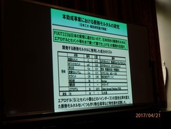 P4210011