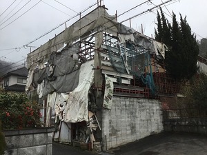 IMG_2255