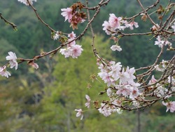 DSC02024