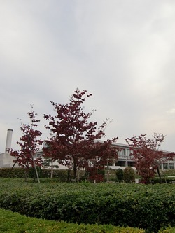 CIMG0191