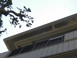 CIMG0362
