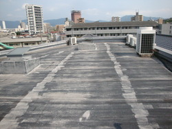 DSC09160