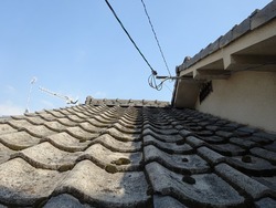 DSC00109
