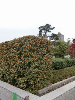 CIMG0190