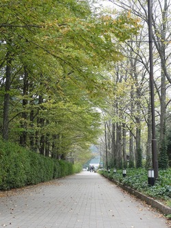 DSC02030