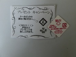 CIMG5069