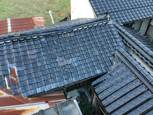 IMG_1640