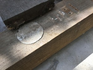 IMG_0119