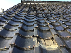 IMG_1631