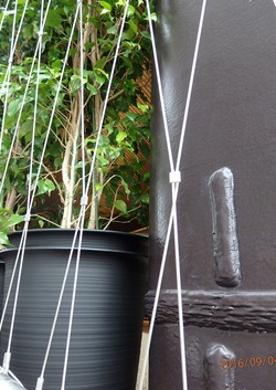 P9040544