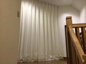 IMG_1929