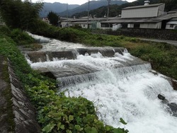 DSC06192