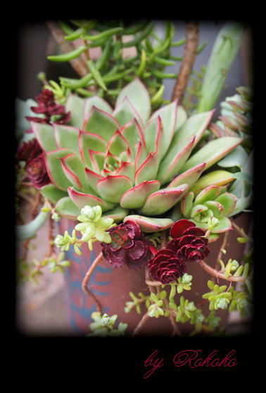 ���ꥹ�ޥ�����b