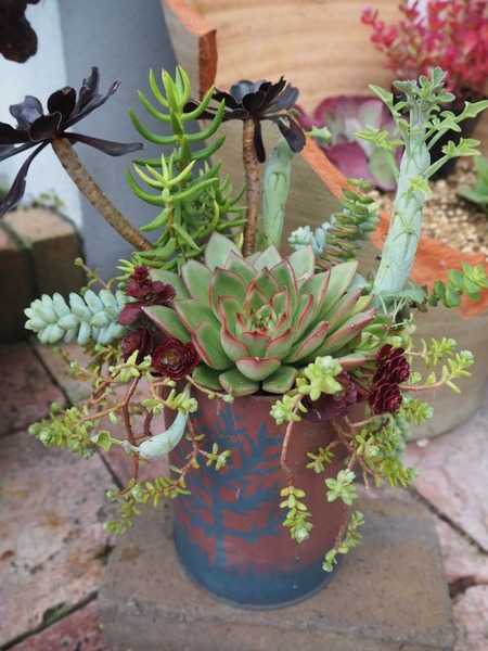 ���ꥹ�ޥ�����2