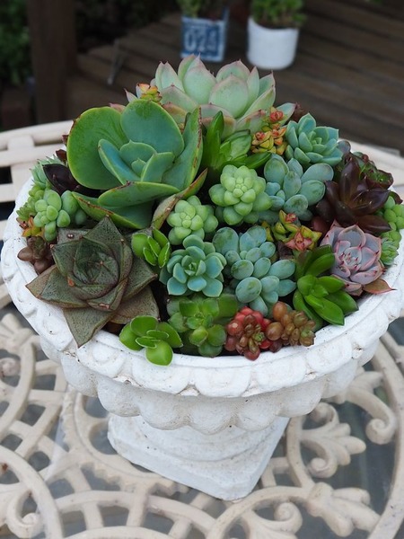 ��ȭ�δ󤻿���2