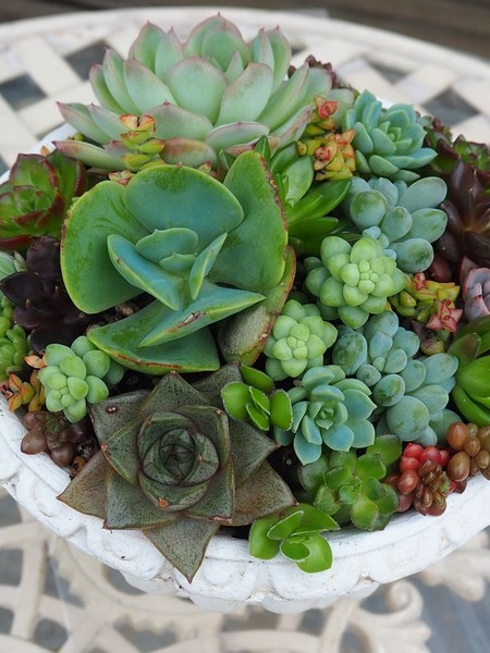 ��ȭ�δ󤻿���1