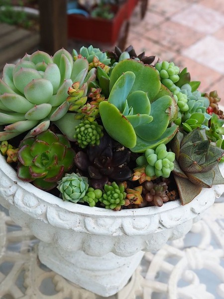 ��ȭ�δ󤻿���3