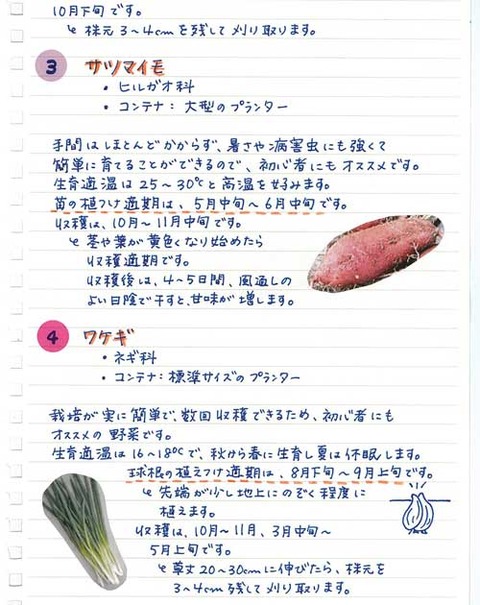 5_suto_0331b