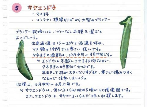 5_suto_0331c