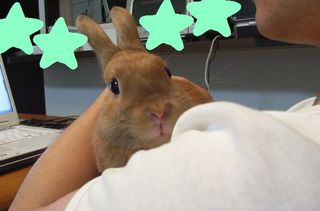 ���礳��