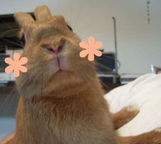 �ۤä�