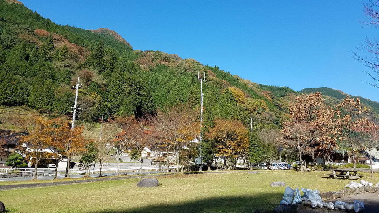 29年11月7日 紅葉別所