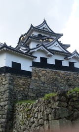 6628f574.jpg