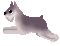 image4261