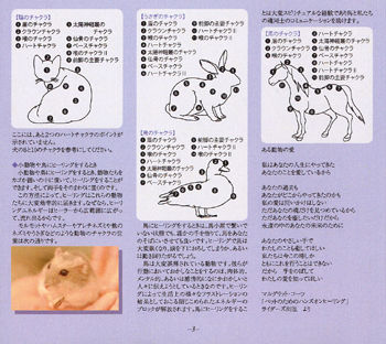 animal3