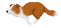 image4055