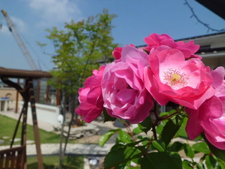 CIMG0178