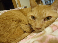 20140210_deni