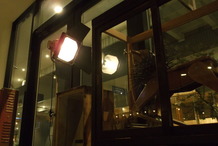 DSCF8190