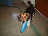 play2