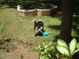 play3