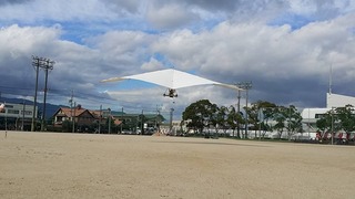 11220126_487998384711593_219296529177426181_n