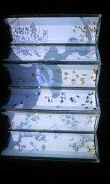 e1c58b03.jpg