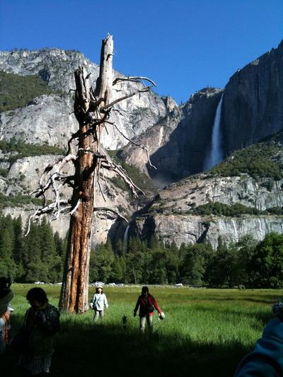 yosemitedaki