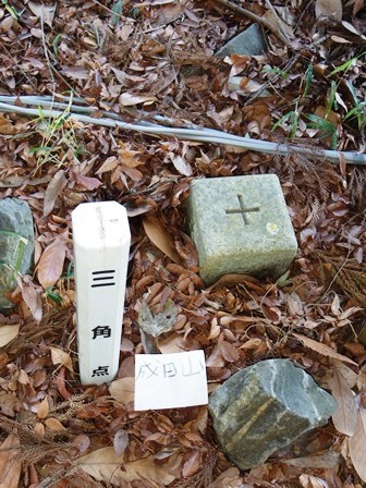 Naritasan09