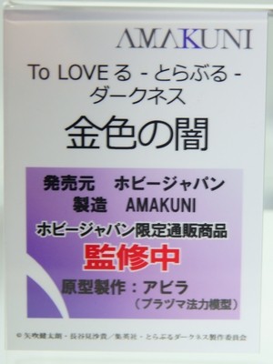 MegaHobby_AMAKUNI16