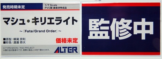 MegaHobby_Alter07