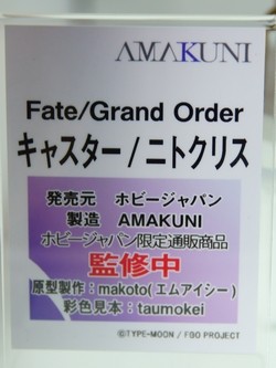 megahobby_AMAKUNI16