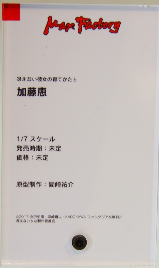 WonHobby_G_MAX02