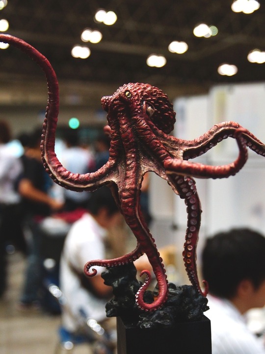 WF2018S_toku_ゴート02