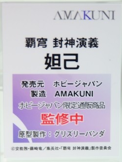 megahobby_AMAKUNI31