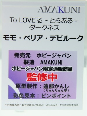MegaHobby_AMAKUNI12
